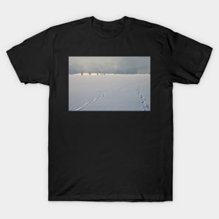 Footprints in the snow T-Shirt